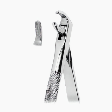  Extracting Forceps